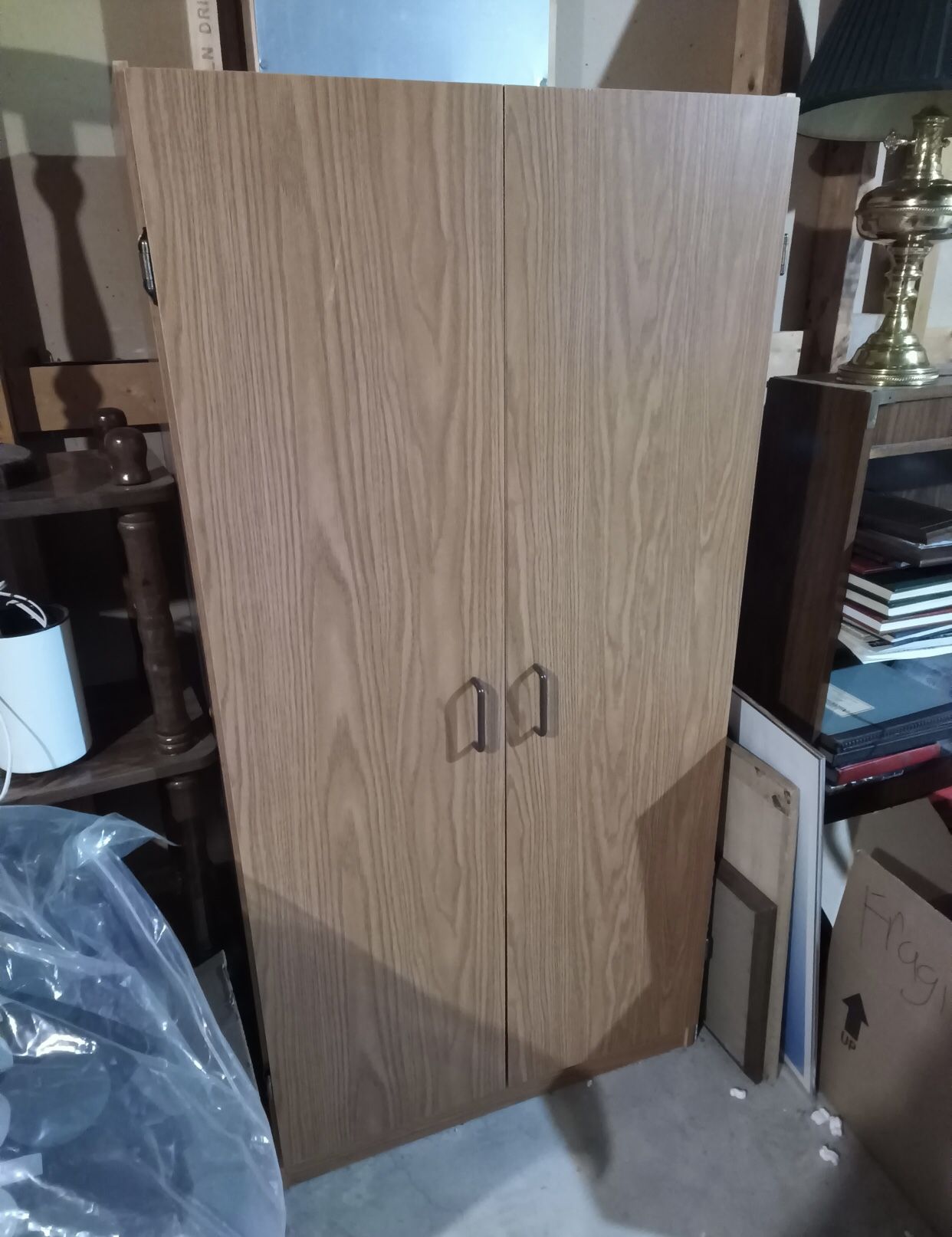 Storage Cabinet-2 Door