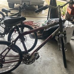 Schwinn Sierra GS  and a Mongoose Excursion 
