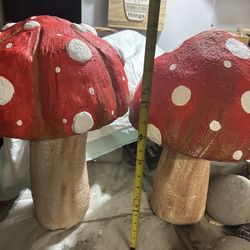 mushrooms and others