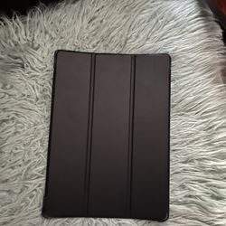 iPad Case 