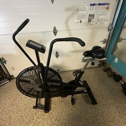 Assault Fitness bike 