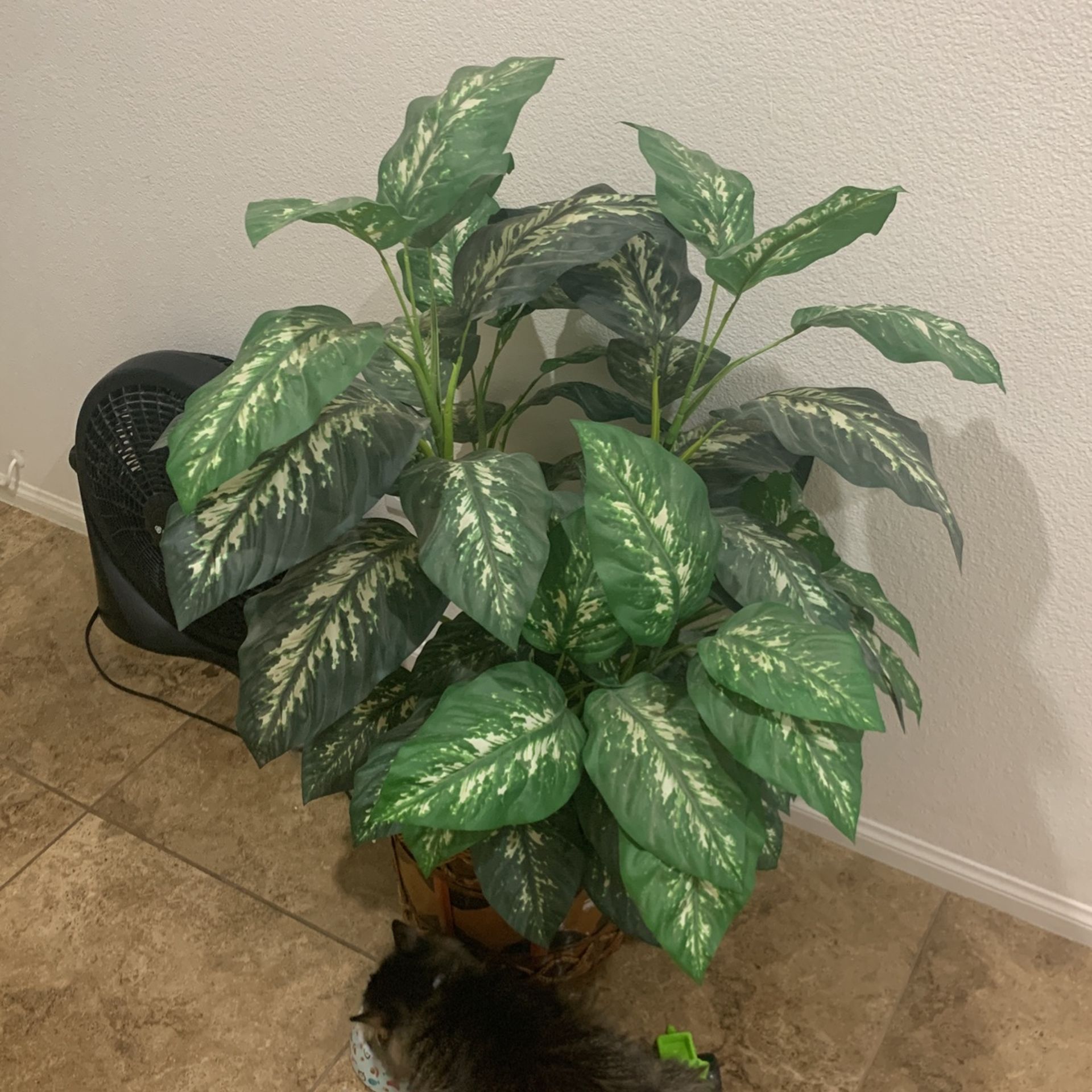 Fake Plant