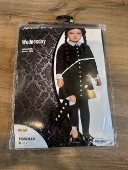 Wednesday costume