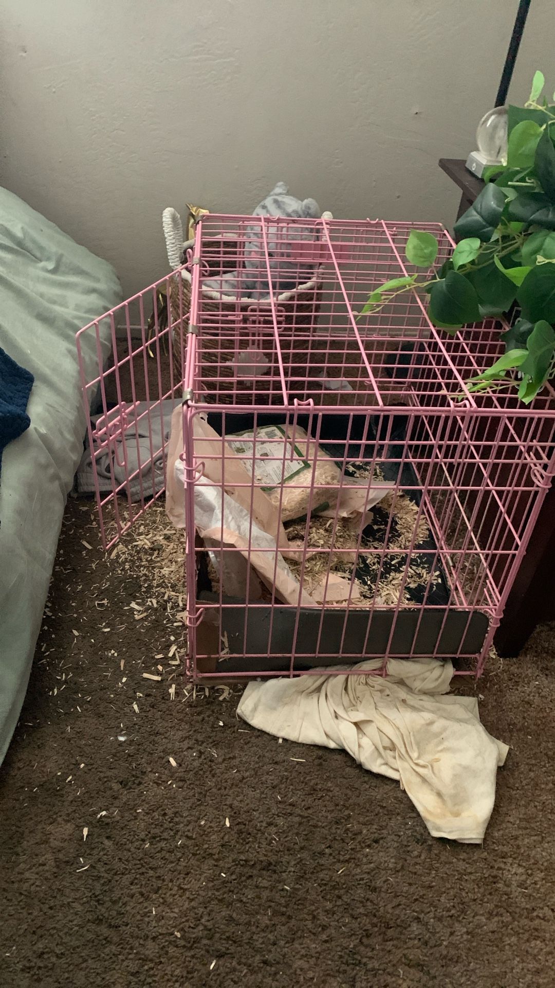 Bird Cage