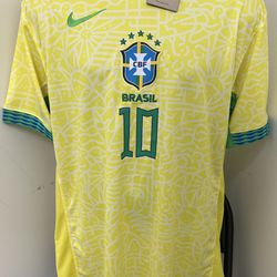 Brazil Copa América 