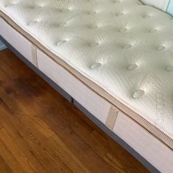 Twin Extra Long Adjustable Bed