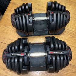 Bowflex 1090 Adjustable Dumbbell Set