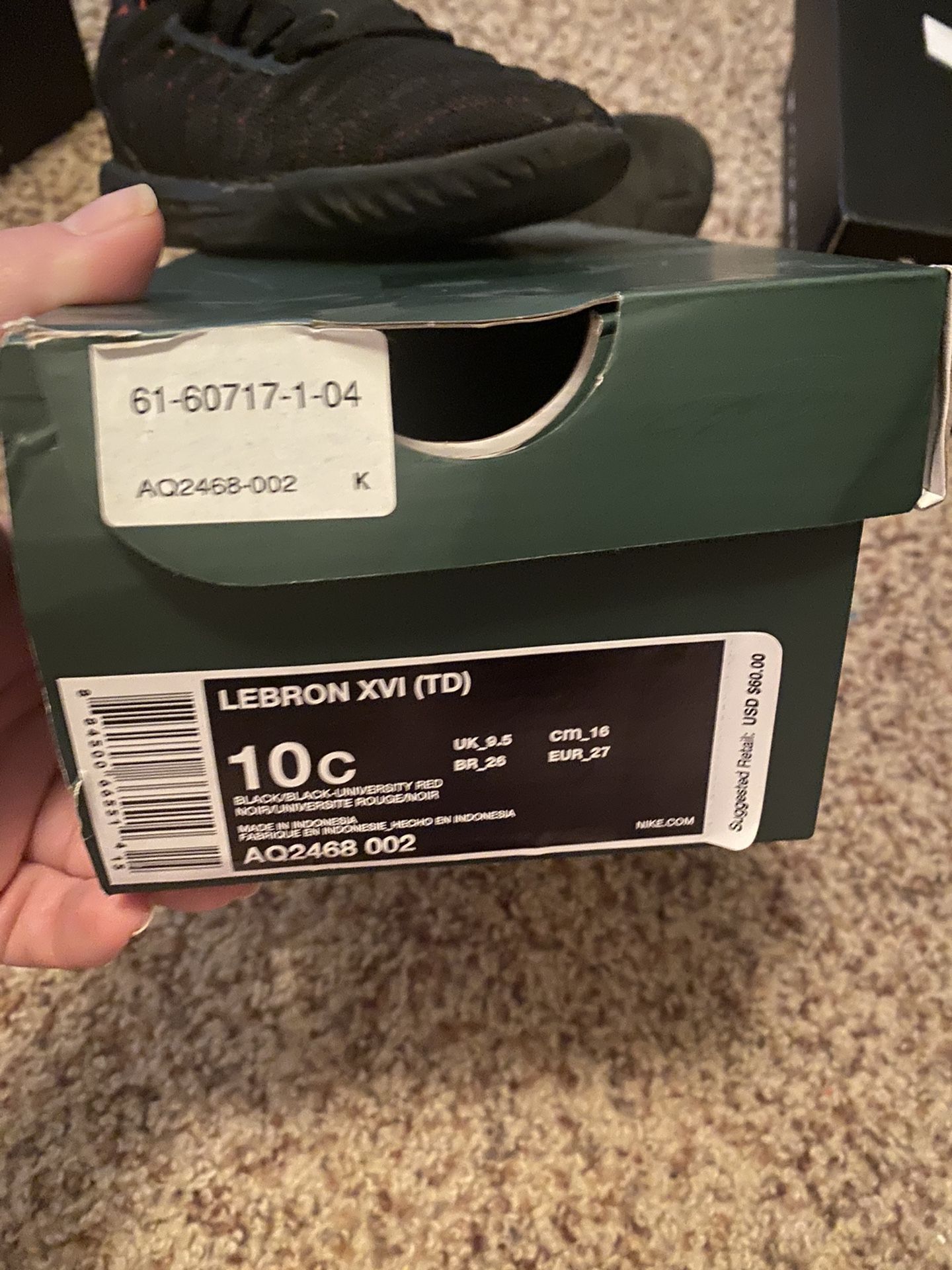 Toddler Nike Lebron