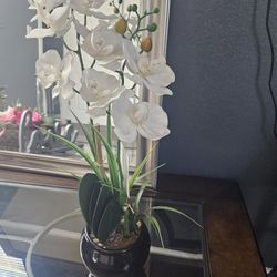 Decoración 