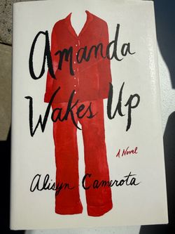 Amanda Wakes Up by Alisyn Camerota