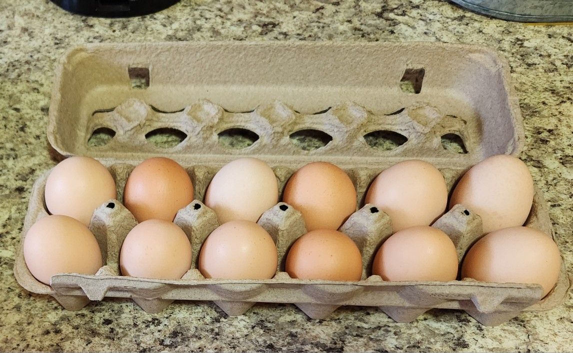 EGG'S FOR SALE