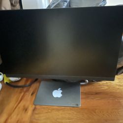 Gaming/TV Monitor