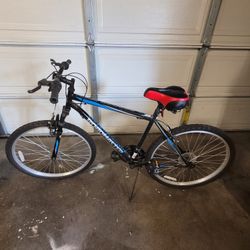 RoadMaster Bike
