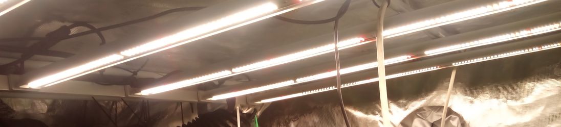 Mars hydro FCE 6500 Grow Light