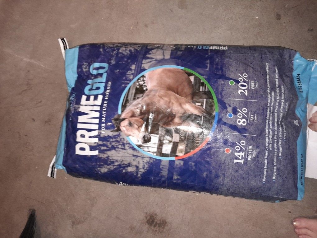Horse Feed