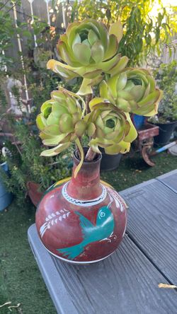 Succulent Arrangement