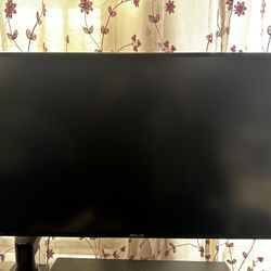 Asus 27 Inch Gaming Monitor 165hz