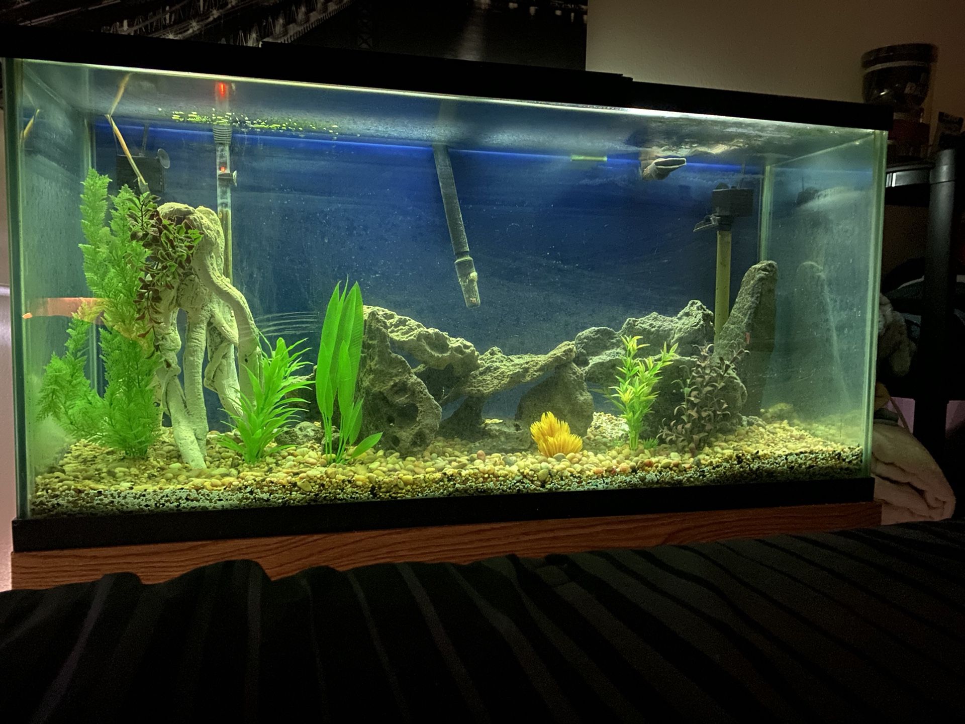 90 Gallon Fish Tank With Stand 