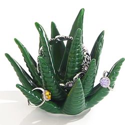  Succulent Ring Holder, Ring Stand, Ring Display, Ring Organizer, Green Cactus 
