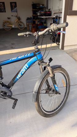 Adult tricycle