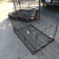 Dog Cage