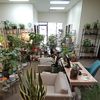 Nature by Design