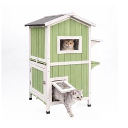 2-Story Weatherproof Wooden Cat House with Open Roof - PET04-GREENWHITE
