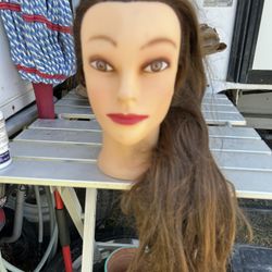 Cosmetology Doll Heads 