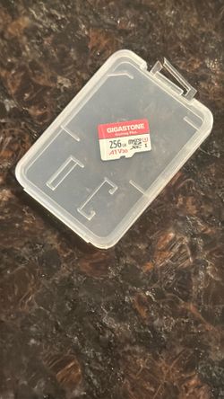 256GB Gigastone Gaming Plus microSDXC card