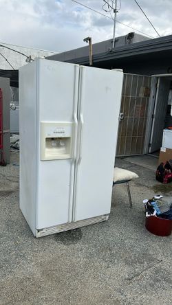 Dumbledore refrigerator