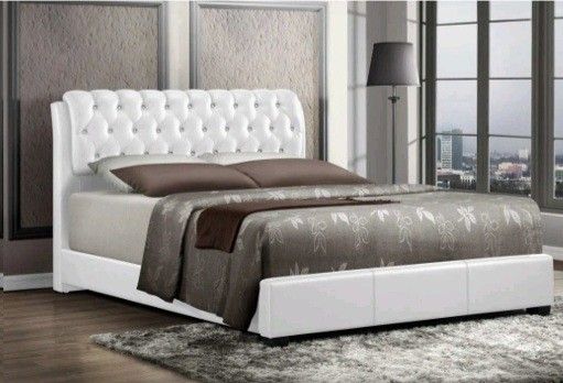 Bed Frame Queen Size Color Black Or White 