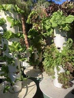 Tower Garden