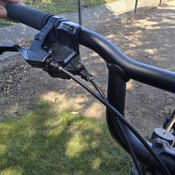 Specialized Roll 2.0 Bicycle (2022)