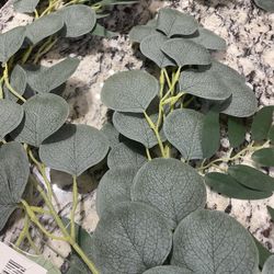 6ft Long Silver Dollar Eucalyptus Garland. Never Used