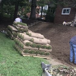 premium sod 
