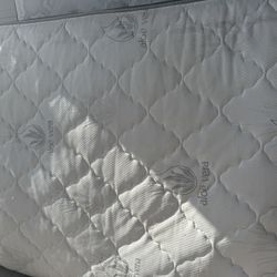 Queen Mattress 