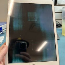Apple iPad Repair Kit