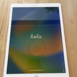 iPad Pro 12.9 Inch (Gen 1) 128gb