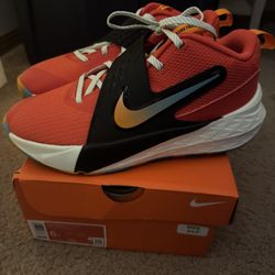 BRAND NEW Nike basketball Shoes 
