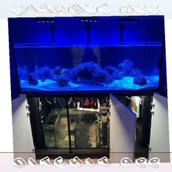 Full Aquarium Tank - Spacious & Eye-Catching friend reach