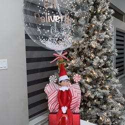 Elf On The Shelf