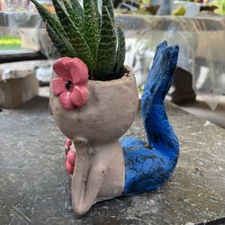 Cirenita De Cememento