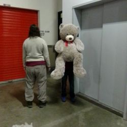 Giant Almost Life-size Bear