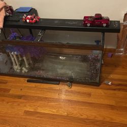 75 Gallon Fishtank  Foresail  Ready For Fish Or Reptile To Put In It 