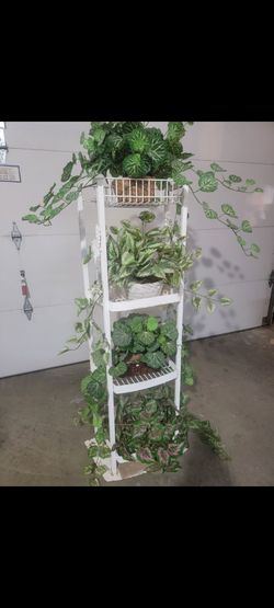 Plant holder