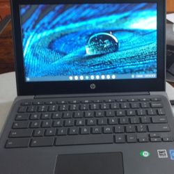 Chromebook HP 