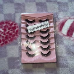 Lash Tray 