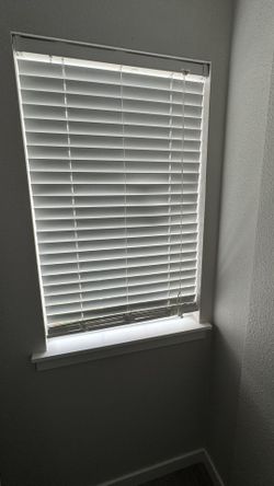 White Color Blinds 