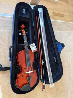 Viola