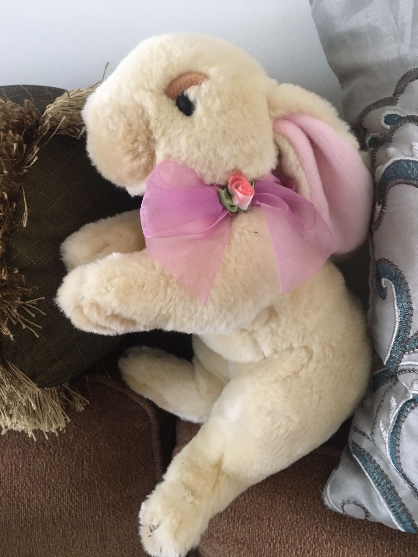 Bunny New